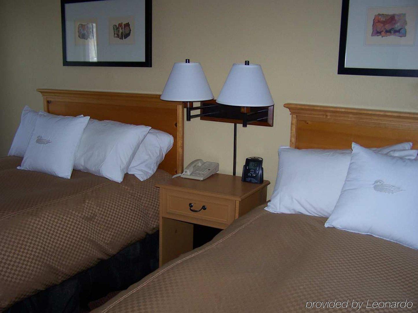 Homewood Suites By Hilton Phoenix-Biltmore חדר תמונה
